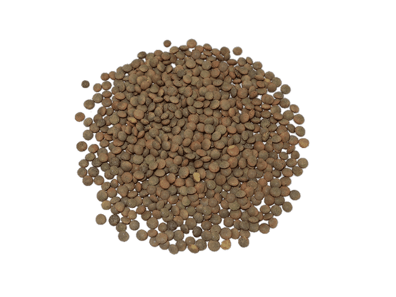 C. BÀSICA - GRANEL LLENTIA PARDINA ECO