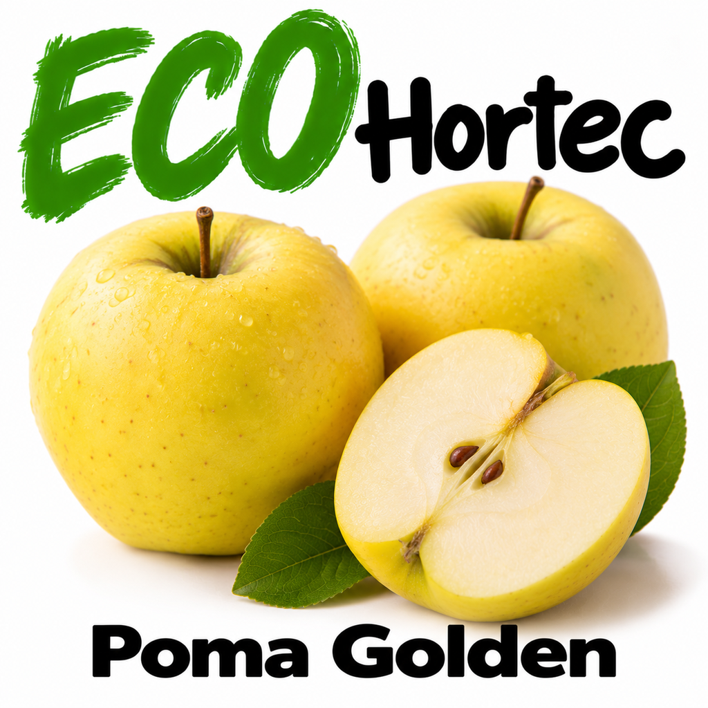 FRESC POMA GOLDEN ECO (kg) Pla d'Urgell
