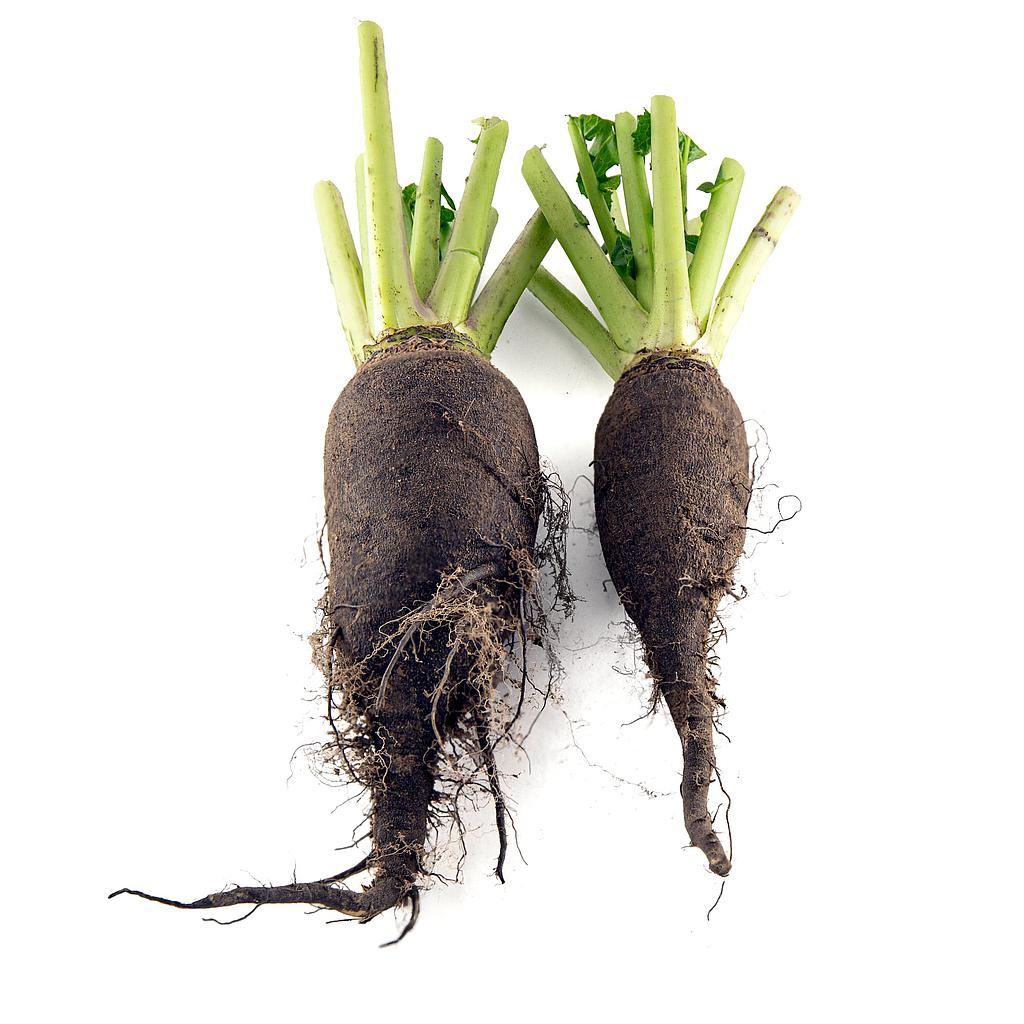 FRESCO NABO NEGRO GRANEL (kg) Lleida - Cal Valls