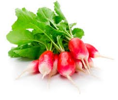 FRESC RAVANET ECO Punta Blanca (manat) Baix Llobregat - Cal Notari