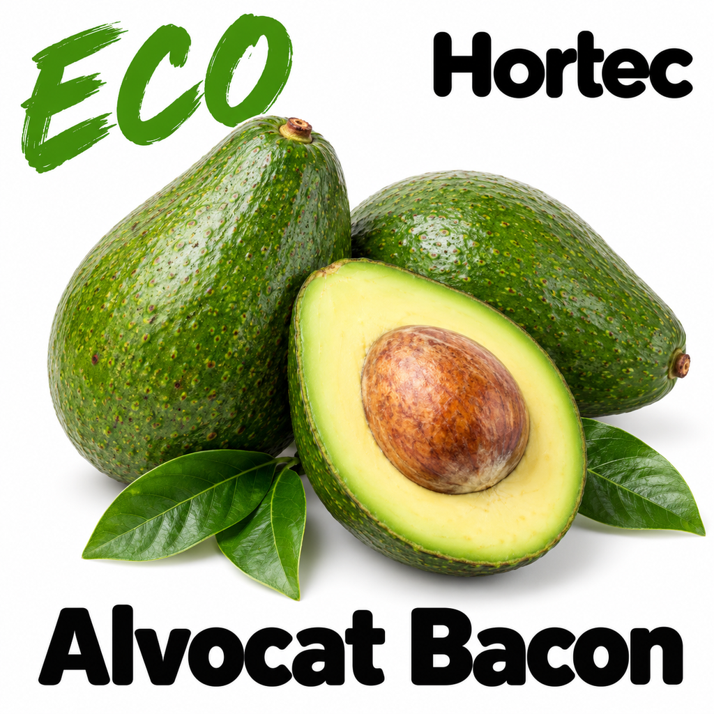 FRESC ALVOCAT BACON ECO (kg) Granada