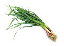 FRESC ALL TENDRE ECO (manat) Vallesme - La Magalla