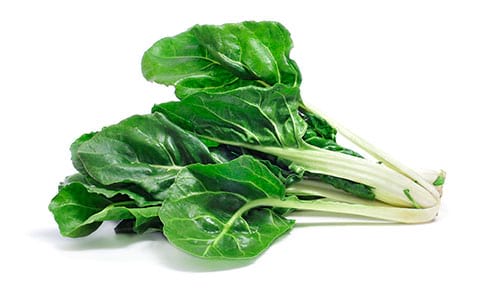 FRESC BLEDA ECO (manat) Alt Camp - La Magalla - Vallesme