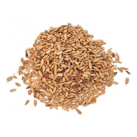 GRANEL SEMILLA GIRASOL PELADA ECO Can Galderic