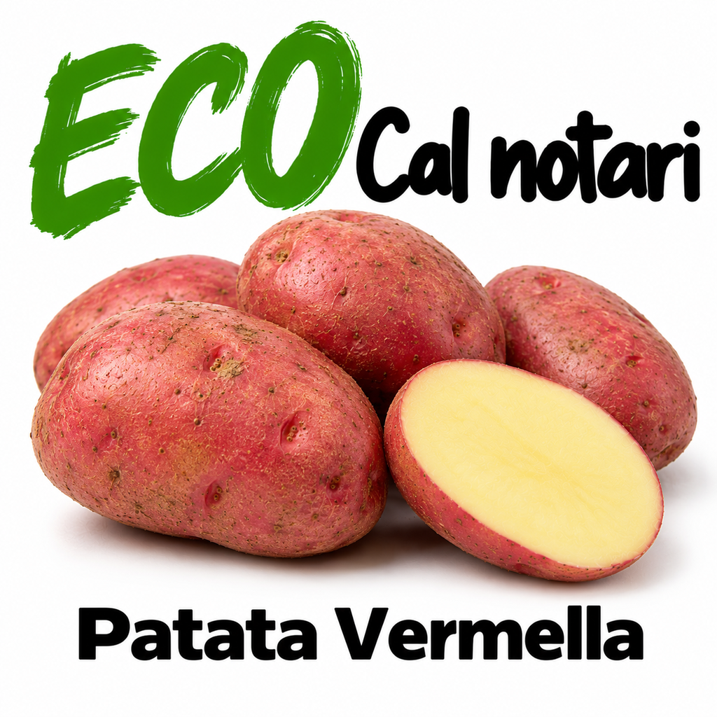 FRESCO PATATA ROJA (kg) - Cal Notari