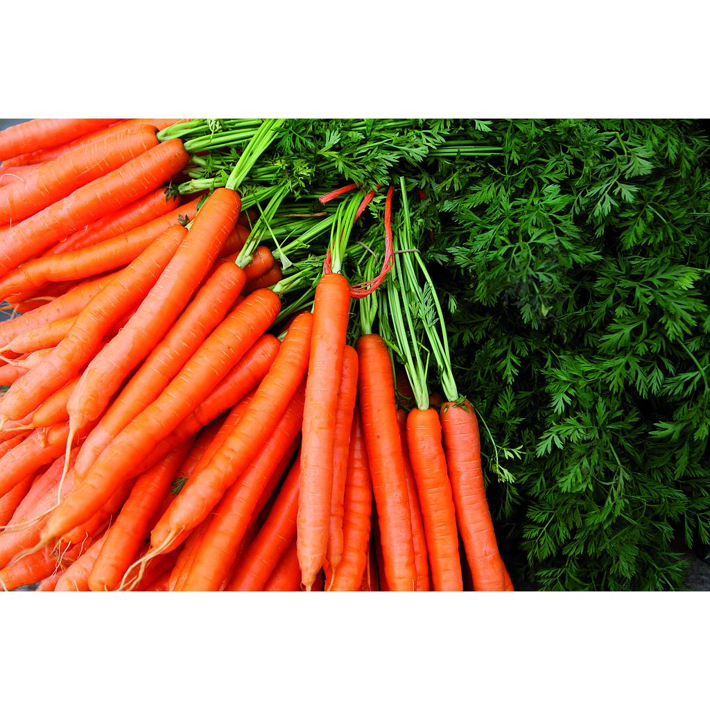 FRESC PASTANAGA ECO Nantesa (kg) Vallés Oriental