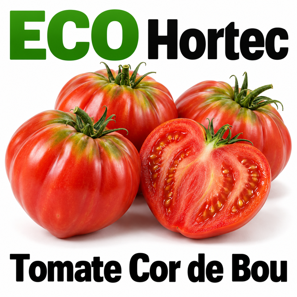 FRESC TOMÀQUET COR DE BOU ECO (kg) Alt Camp