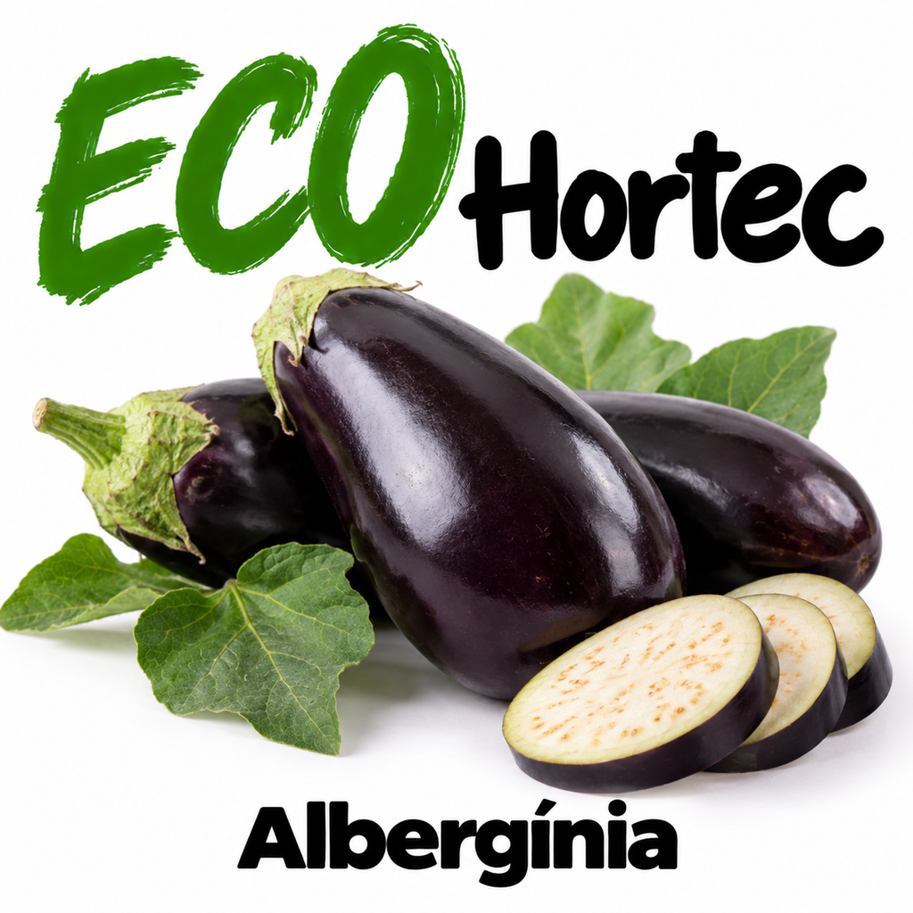 FRESC ALBERGÍNIA ECO (kg)