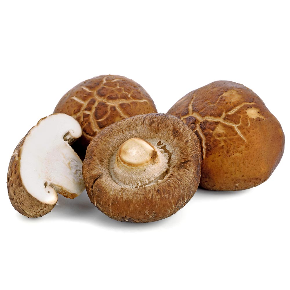 FRESC BOLET DE ROURE o XIITAKE (kg) La Rioja