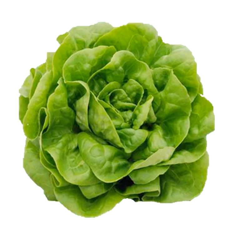 FRESC ENCIAM CABDELL (unitat) Montsià