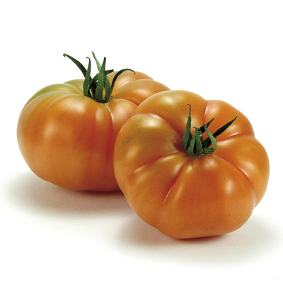 FRESCO TOMATE PARA ENSALADA (kg) Alt Camp