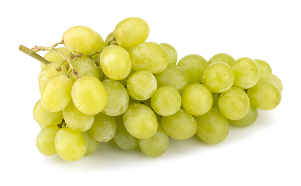 FRESC RAÏM BLANC ECO (kg) Alacant, del Aledo