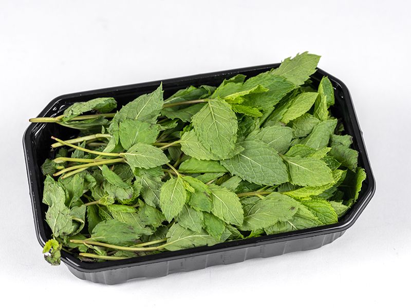 FRESC MENTA SAFATA 30 GR Maresme