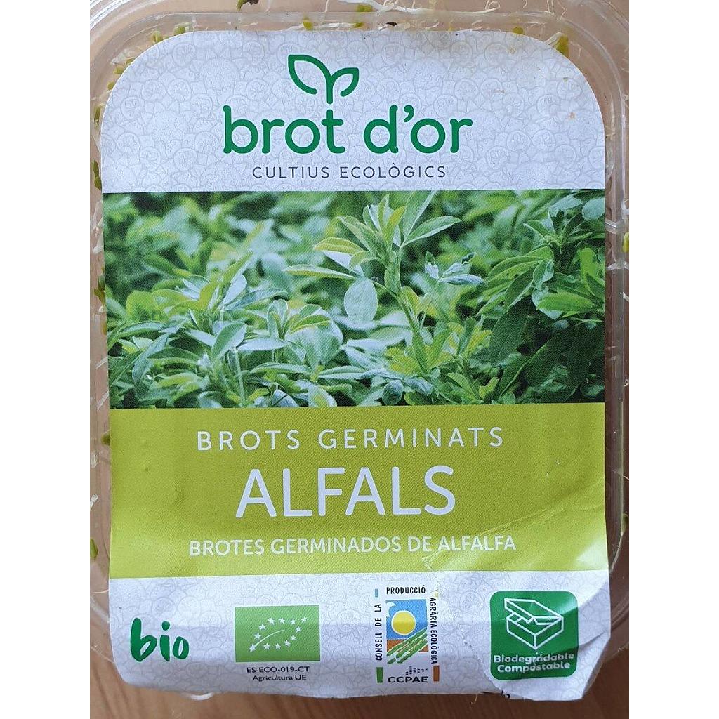BROTES GERMINADOS ALFALFA ECO 70 g Vallès Oriental