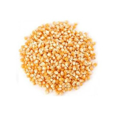 GRANEL MAÍZ PARA PALOMITAS