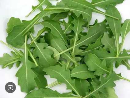 RUCA SELVÀTICA ECO 60 g Maresme