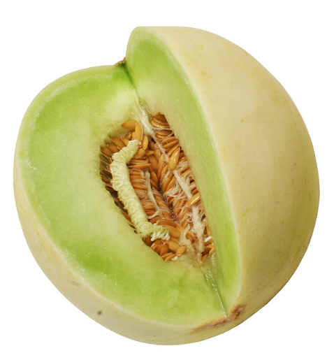 FRESC MELÓ HONEYDEW (kg) Baix Ebre