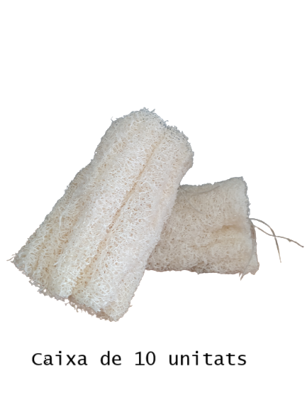 ESPONJA DE LUFFA