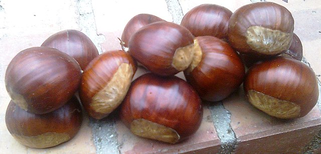 FRESCO CASTAÑA ECO (kg) Galicia