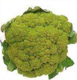 FRESCO COLIFLOR VERDE (unidad) Baix Llobregat