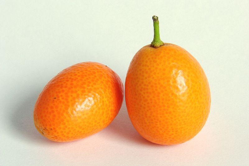 FRESCO KUMQUAT (kg) Màlaga