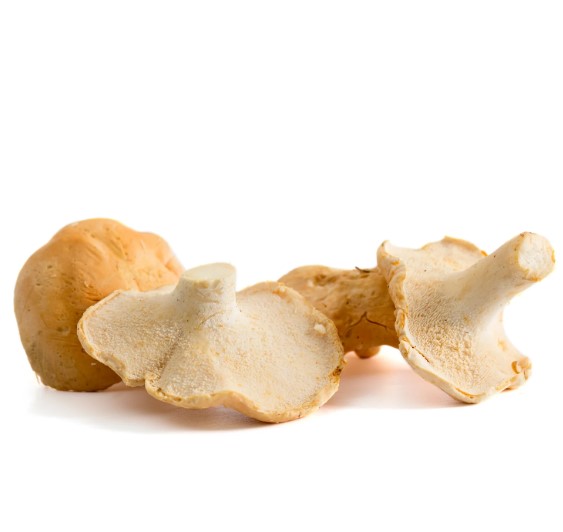 FRESC BOLET LLENGUA DE BOU(kg) Osca