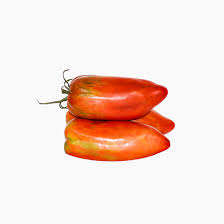 FRESCO TOMATE PIMIENTO (kg)