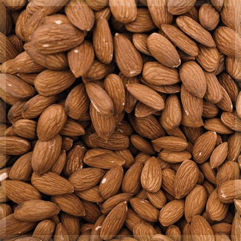 C. BÁSICA - GRANEL ALMENDRA CON PIEL ECO (kg) España Oleander