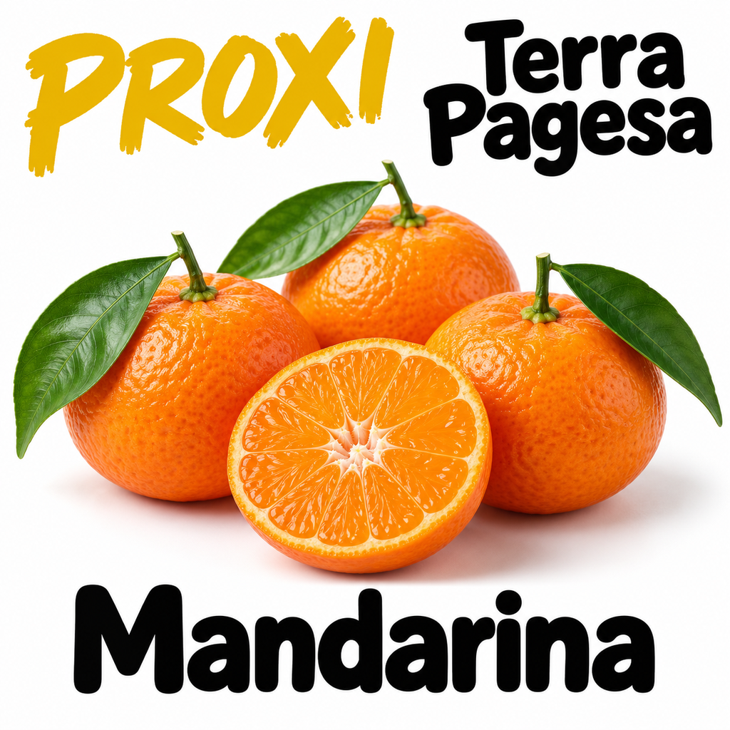 FRESC MANDARINA PROXIMITAT (kg) Baix Ebre - Dani Font