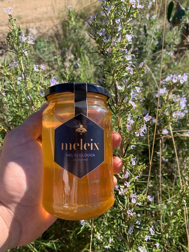 MEL DE ROMANÍ ECO Meleix 500g