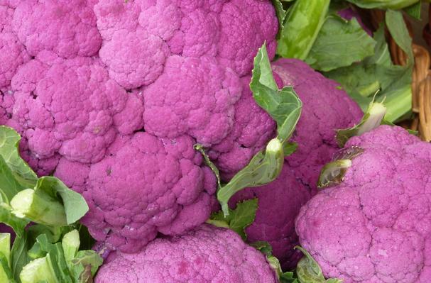 FRESC BRÒQUIL MORAT ECO (u) Murcia