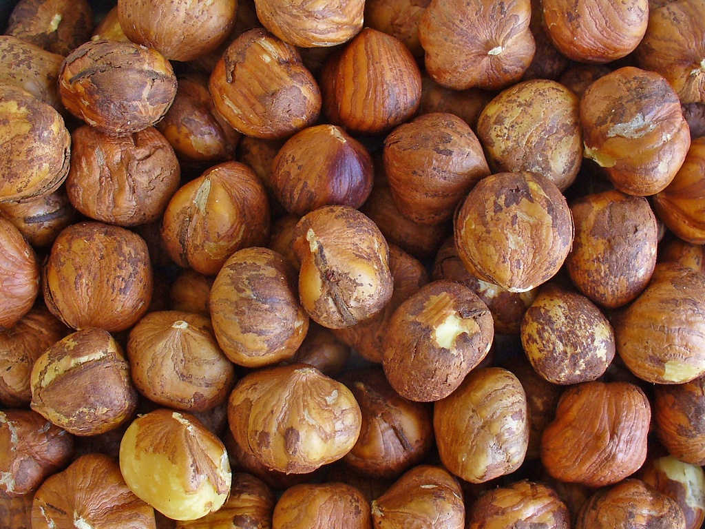 GRANEL AVELLANA CRUA AMB PELL ECO (kg) Oleander