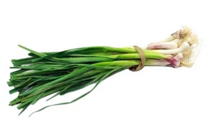 FRESC ALL TENDRE PROXIMITAT (Manat) Terra Pagesa