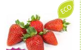 FRESC MADUIXA ECO Hort d'en Dídac 500 g