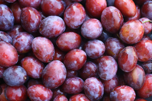 FRESC PRUNA VERMELLA MIRABOLÁ PROXIMITAT (KG) Terra Pagesa - Tarragonès