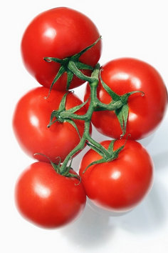 FRESCO TOMATE PERA-RAMA PROXIMIDAD (kg) Terra Pagesa