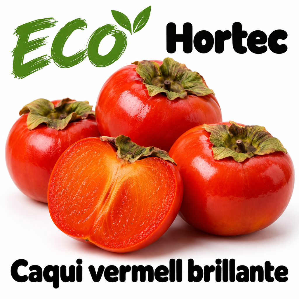 FRESC CAQUI VERMELL BRILLANT ECO (kg) València