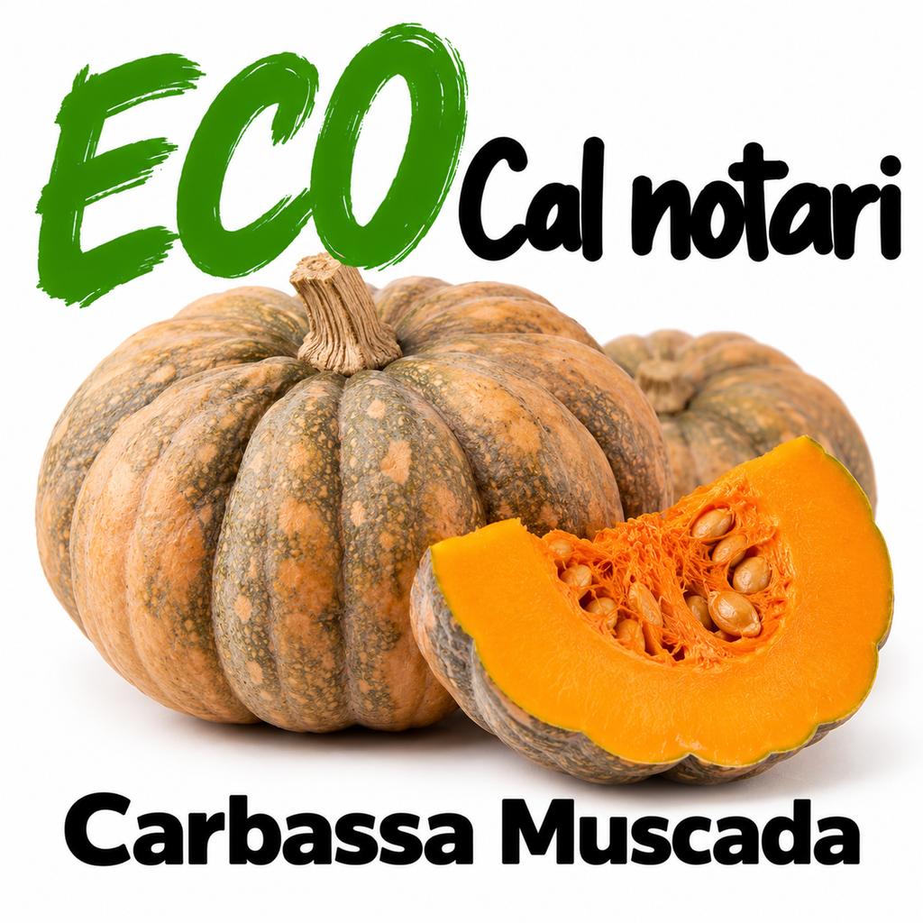 FRESC CARBASSA MUSCHATA (kg) Segrià