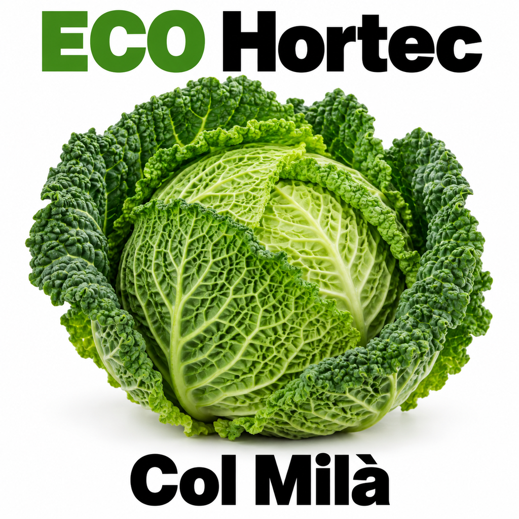 FRESC COL MILA (kg) Alt Camp