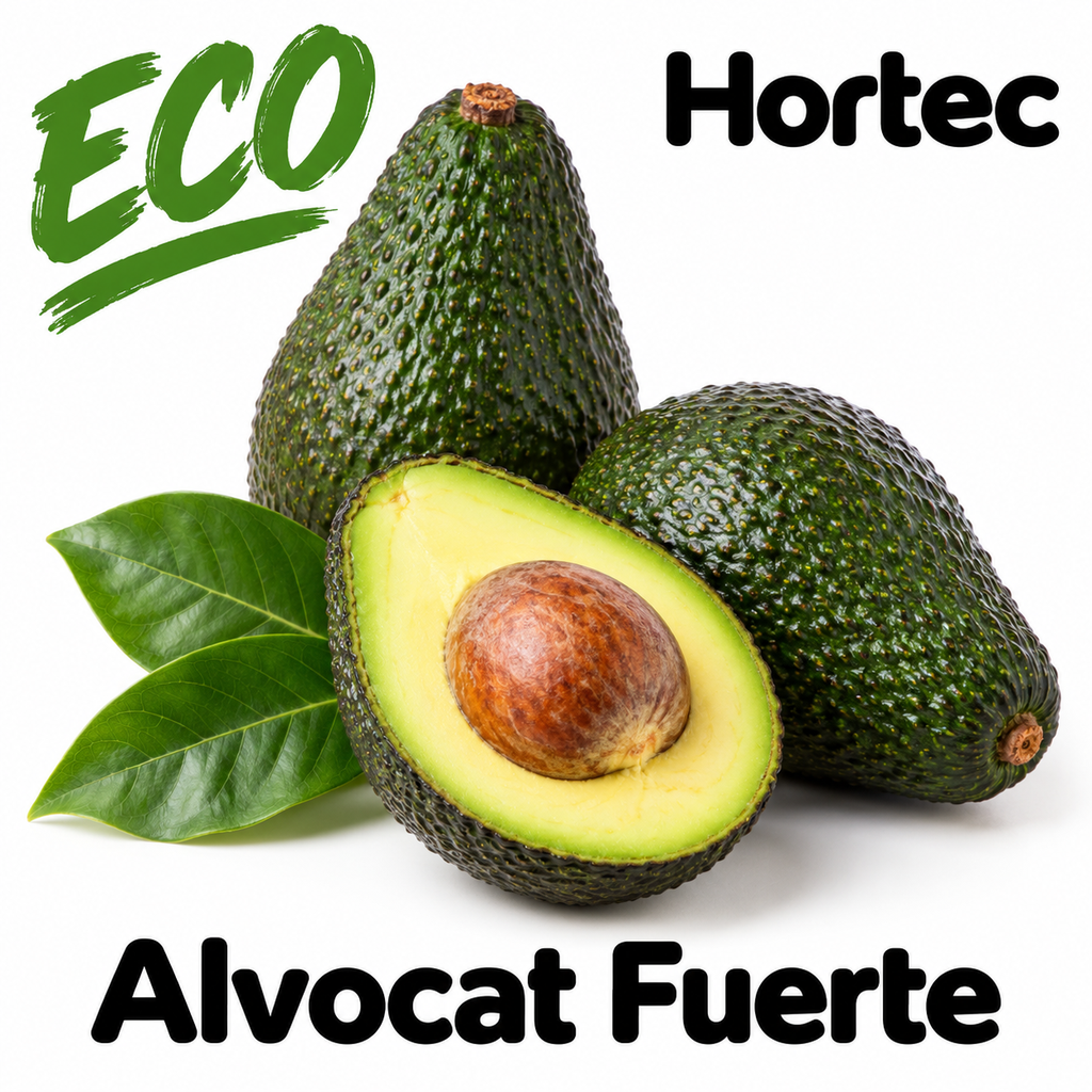 FRESC ALVOCAT FUERTE ECO (kg) Malaga
