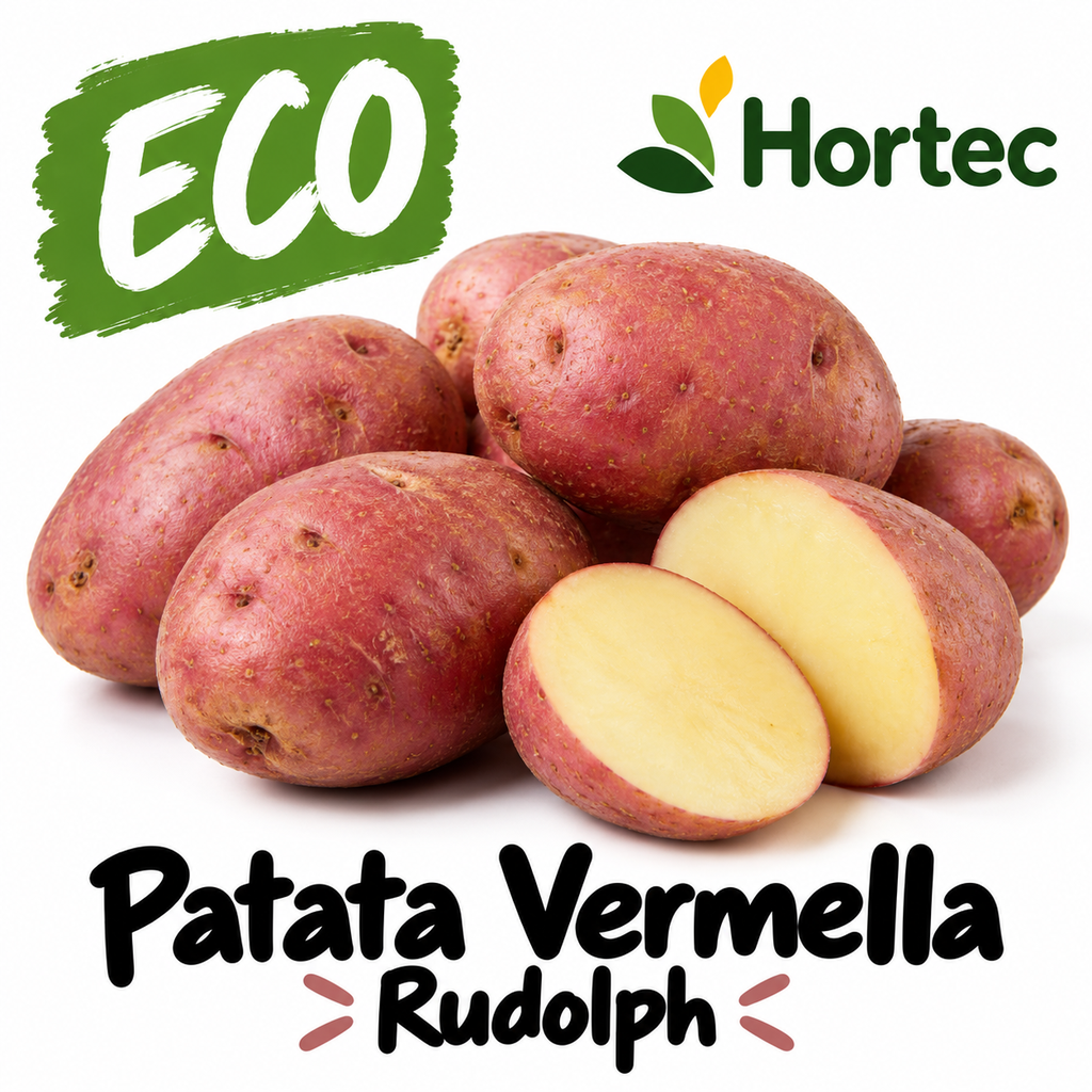 FRESC PATATA VERMELLA RUDOLPH ECO (kg) - Cerdanya