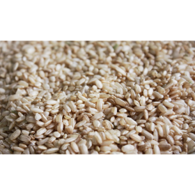 GRANEL ARROZ REDONDO INTEGRAL kg