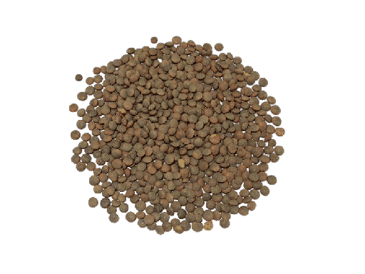 [146] C. BÁSICA - GRANEL LENTEJA PARDINA ECO