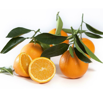 [452] FRESCO NARANJA (kg) Màlaga