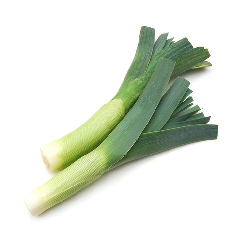[499] FRESCO PUERRO (kg)