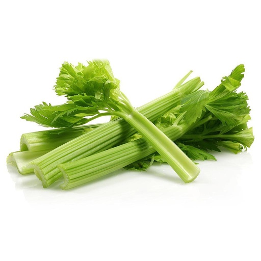 [460] FRESC API ECO (kg) Tarragona i Baix Llobregat