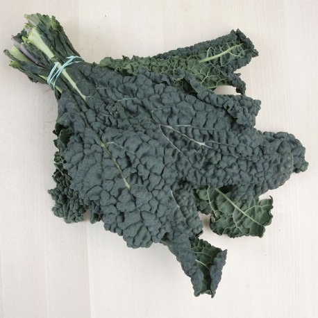 [474] FRESC COL KALE (kg) Baix Llobregat - Cal Notari