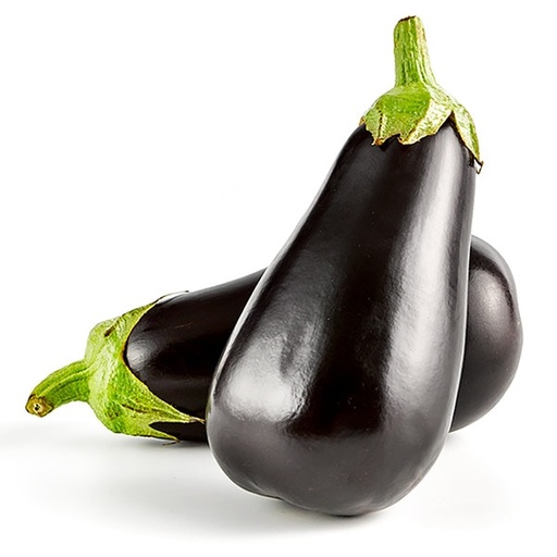 [456] FRESC ALBERGÍNIA ECO (kg) Almería