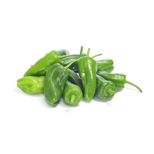 [494] FRESCO PIMIENTO PADRÓN (kg)