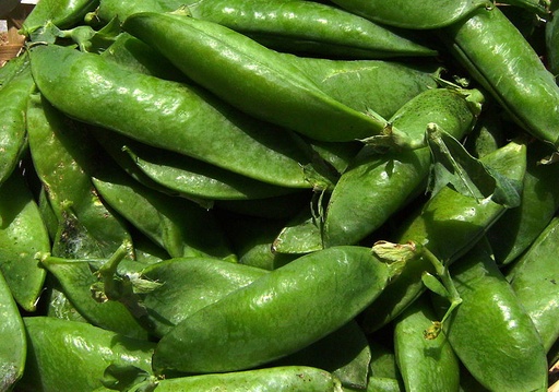 [564] FRESCO GUISANTES (kg) Maresme